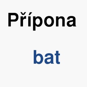 Význam slova, termín, co je to bat? Jak a v čem upravit, importovat, editovat, otevřít, zobrazit, prohlížet, komprimovat soubor s příponou bat (Spustitelné soubory)